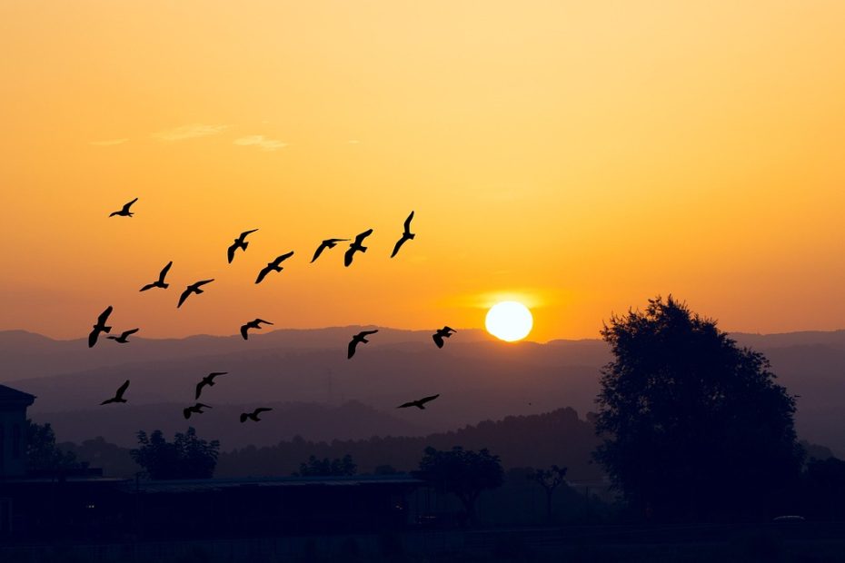 국민취업제도 알바 활용법 살펴보기