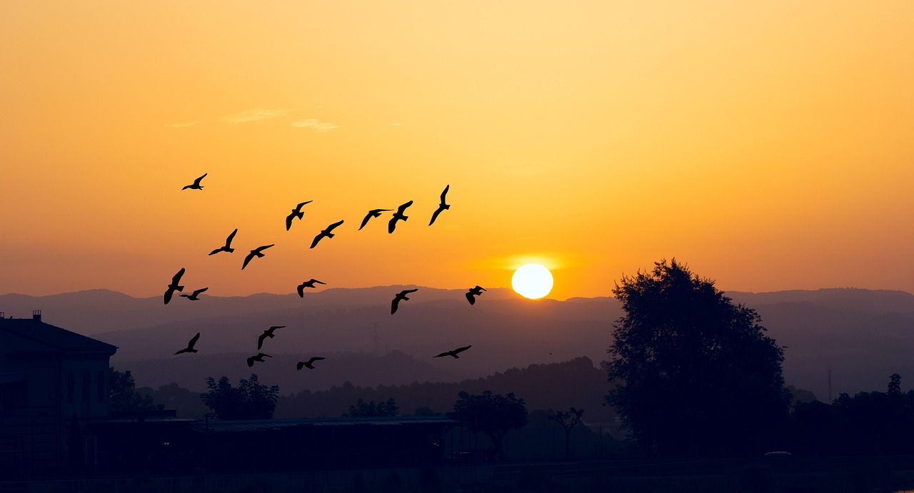 국민취업제도 알바 활용법 살펴보기