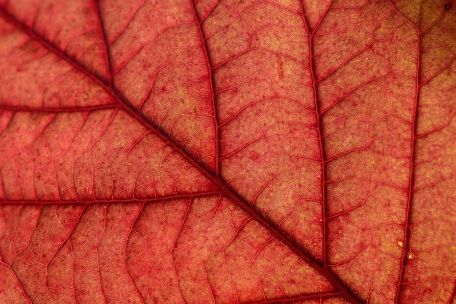 무료타로 무료타로