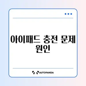 아이패드 충전 안됨 "충전 중이 아님" 메시지