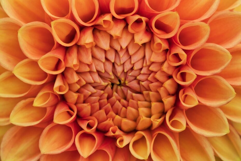 지그재그 파트너센터