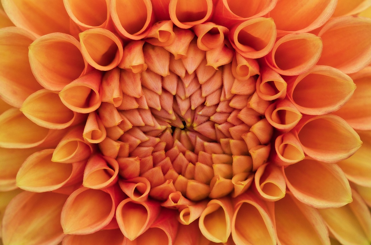 지그재그 파트너센터