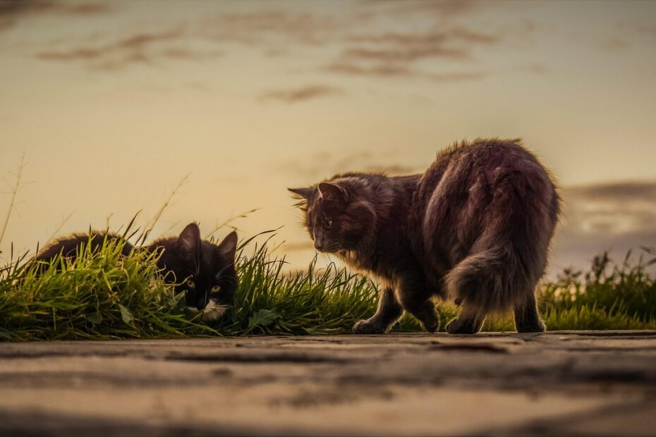 직장인투잡 직장인투잡
