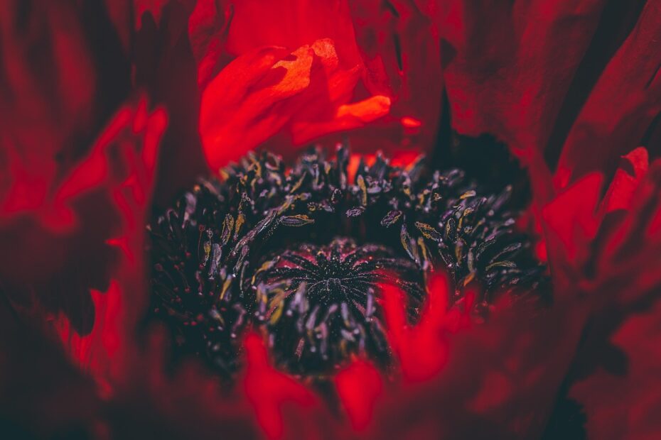 카페24 관리자센터