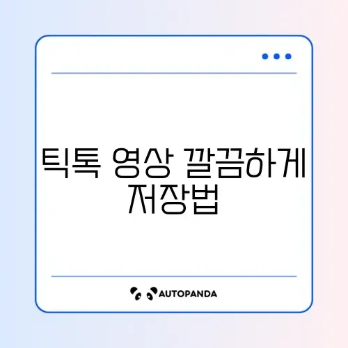 틱톡 워터마크 없이 영상 저장 사이트 (스냅틱 등)