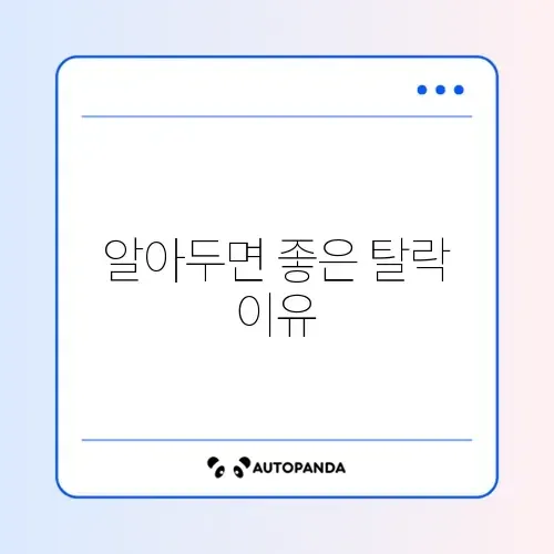 국민취업지원제도 탈락사유 완벽 정리 가이드