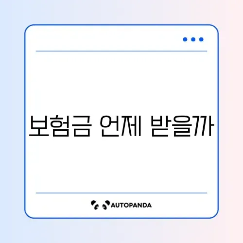 자동차보험 지급일