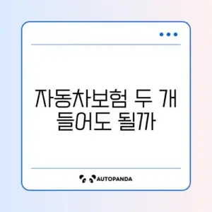 자동차보험 중복 가능 여부