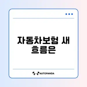 자동차보험 변경사항