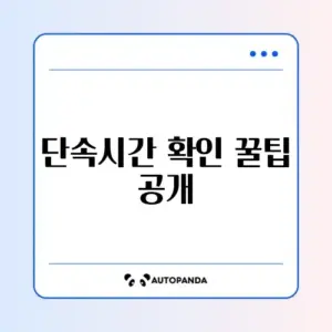 불법주정차 단속 시간 쉽게 확인하는 방법 가이드