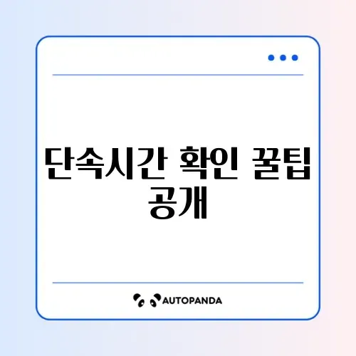 불법주정차 단속 시간 쉽게 확인하는 방법 가이드