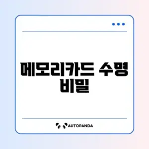 자동차 블랙박스 메모리카드 완벽 관리 방법 알아보기