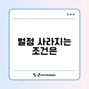 운전면허 벌점 소멸 기준 완벽 가이드 알아보기