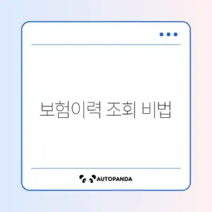 자동차 보험 가입이력 쉽게 조회하는 방법 완벽 정리