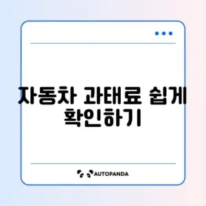 자동차 과태료 조회 및 납부 완벽 가이드 알아보기