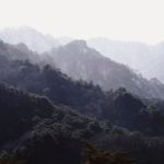 OBS 스튜디오 검은화면 문제 해결을 위한 4가지 팁