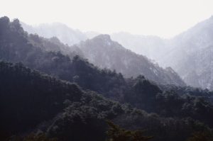 OBS 스튜디오 검은화면 문제 해결을 위한 4가지 팁
